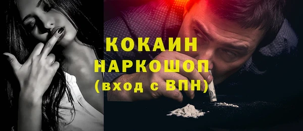 индика Лиски