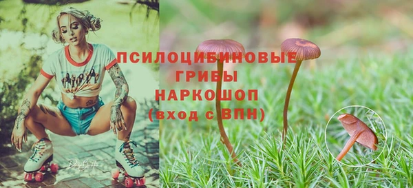 индика Лиски