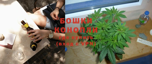 индика Лиски