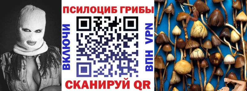 магазин    Любим  Галлюциногенные грибы мицелий 
